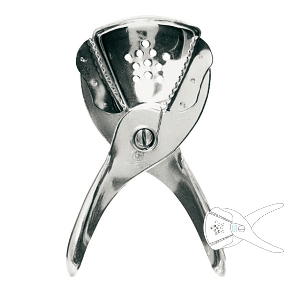 Presse Citron Cocktails Fer Argenté